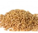 Cedrové (piniové) oříšky RAW BIO 100g