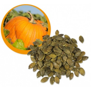 Dýňové semínko z Evropy BIO RAW 1kg