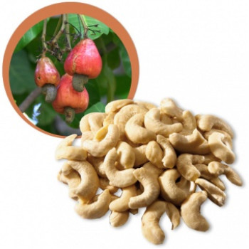 Kešu ořechy RAW BIO 1 kg sušené na slunci