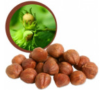 Lískové oříšky BIO RAW 100 g 