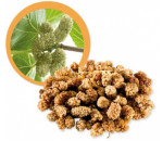 Moruše bílá sušená BIO RAW 1kg