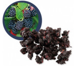 Moruše černá sušená BIO RAW 100 g 