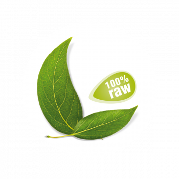 Citronová kůra BIO RAW mletá 50 g 