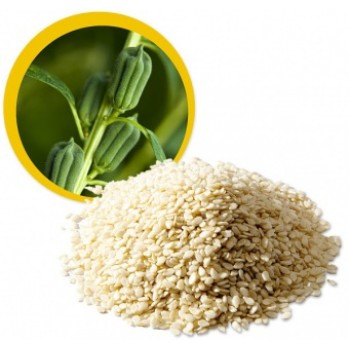 Sezamové semínko neloupané RAW BIO 250g
