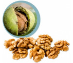 Vlašské ořechy BIO RAW jádra 100 g