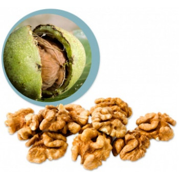 Vlašské ořechy BIO RAW jádra 100 g