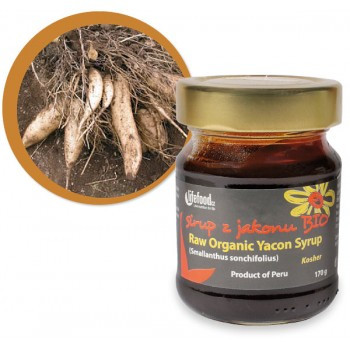 Sirup z jakonu BIO 170 g RAW Nízký GI 