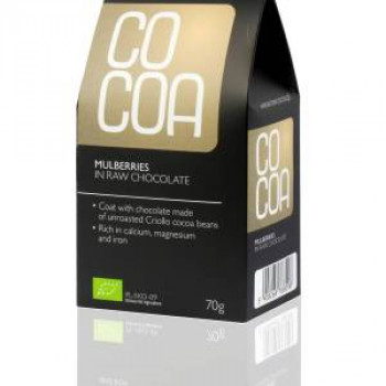 Bio moruše bílá v RAW čokoládě 70g