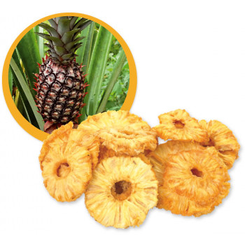 Ananas sušený BIO RAW 100 g 