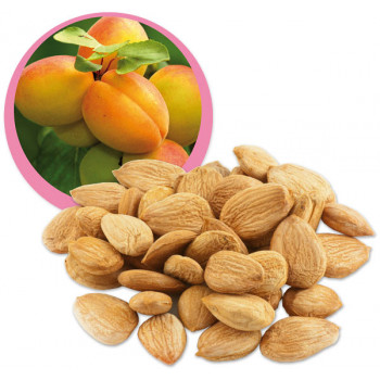 Meruňková jádra raw BIO sladká 100g